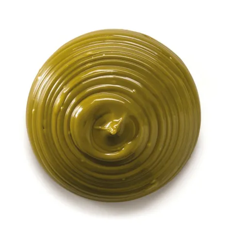 Swirl of smooth Cacao Barry pistachio praline